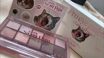 Clio Pro Eye Palette Koshort in Seoul✨ 20 Lazy Soft Paw🐈