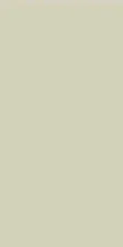 Плитка настенная Palette Skin 30х60