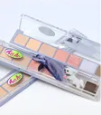  PERIPERA All Take Mood Palette 16 Bravo Pink Puppy