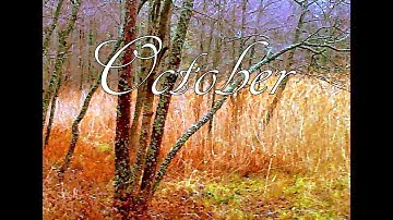 Natural color palette of October