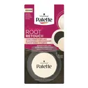 Пудра для волос Palette, тонирующая, каштановый, 3 г