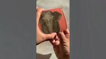 Hourglass Ambient Lighting Edit Elephant swatches!