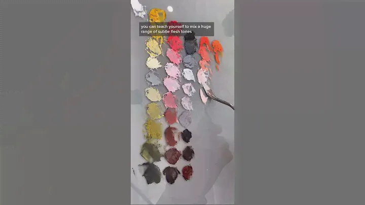 QUICK 🎨 TIP || The Zorn Palette
