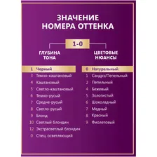 Крем-краска Palette для волос стойкая 1-0, 110мл