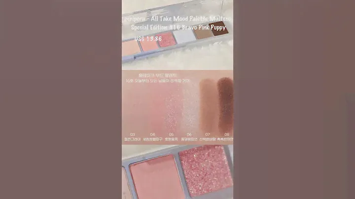 peripera - All Take Mood Palette Maltese Special Edition 16 Bravo Pink Puppy on Yesstyle