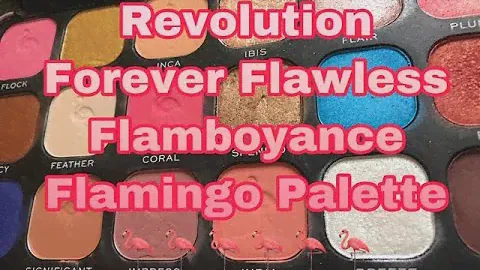 First Impressions:  Makeup Revolution Forever Flawless Flamboyance Flamingo Palette
