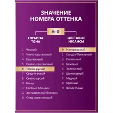 Крем-краска Palette для волос стойкая 6-0, 110мл