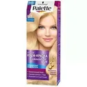 PALETTE E20 Осветляющий