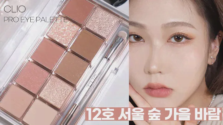 [제품협찬] 9월 올영세일 추천 2탄!💸 클리오 프로아이팔레트 12호 서울숲 가을 바람🍂/웜톤 팔레트/가을 팔레트