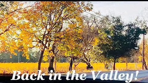 VLOG: Back in Cali & New Eye Palette (11/9-13) | Olivia Kite