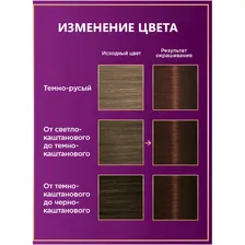 Крем-краска Palette для волос стойкая 4-60, 110мл