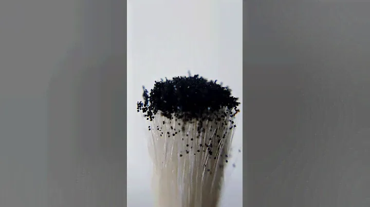 Mac cosmetics Dark soul pigment #makeup #макияж #tiktok #makeuptransformation