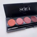 Гель-лак Palette 10 (Red Shine) SOLAlove, 10гр