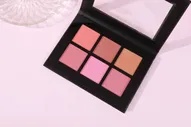 Blush Palette | Blush Colour Palette