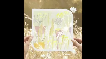 Introducing Dulux Colour of the Year 2023 – Wild Wonder™