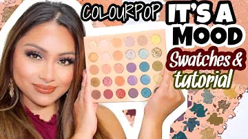NEW COLOURPOP IT'S A MOOD PALETTE FIRST IMPRESSION AND SWATCHES