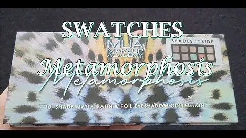 Swatches MUA Metamorphosis Eyeshadow Palette Makeup Academy