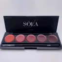 Гель-лак Palette 10 (Red Shine) SOLAlove, 10гр