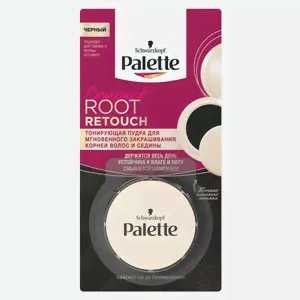 Пудра тонирующая Palette Root Retouch Чёрный для закрашивания корней и седины, 3 г