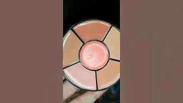 mini Review_ Insight Cosmetics Pro Concealer Palette