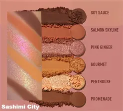 KALEIDOS Futuristic 6 color Eyeshadow Palette
