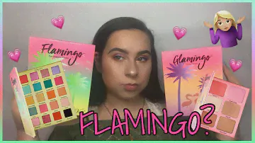 VIOLET VOSS FLAMINGO PALETTE REVIEW