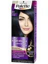 PALETTE краска для волос C1 иссиня-черный