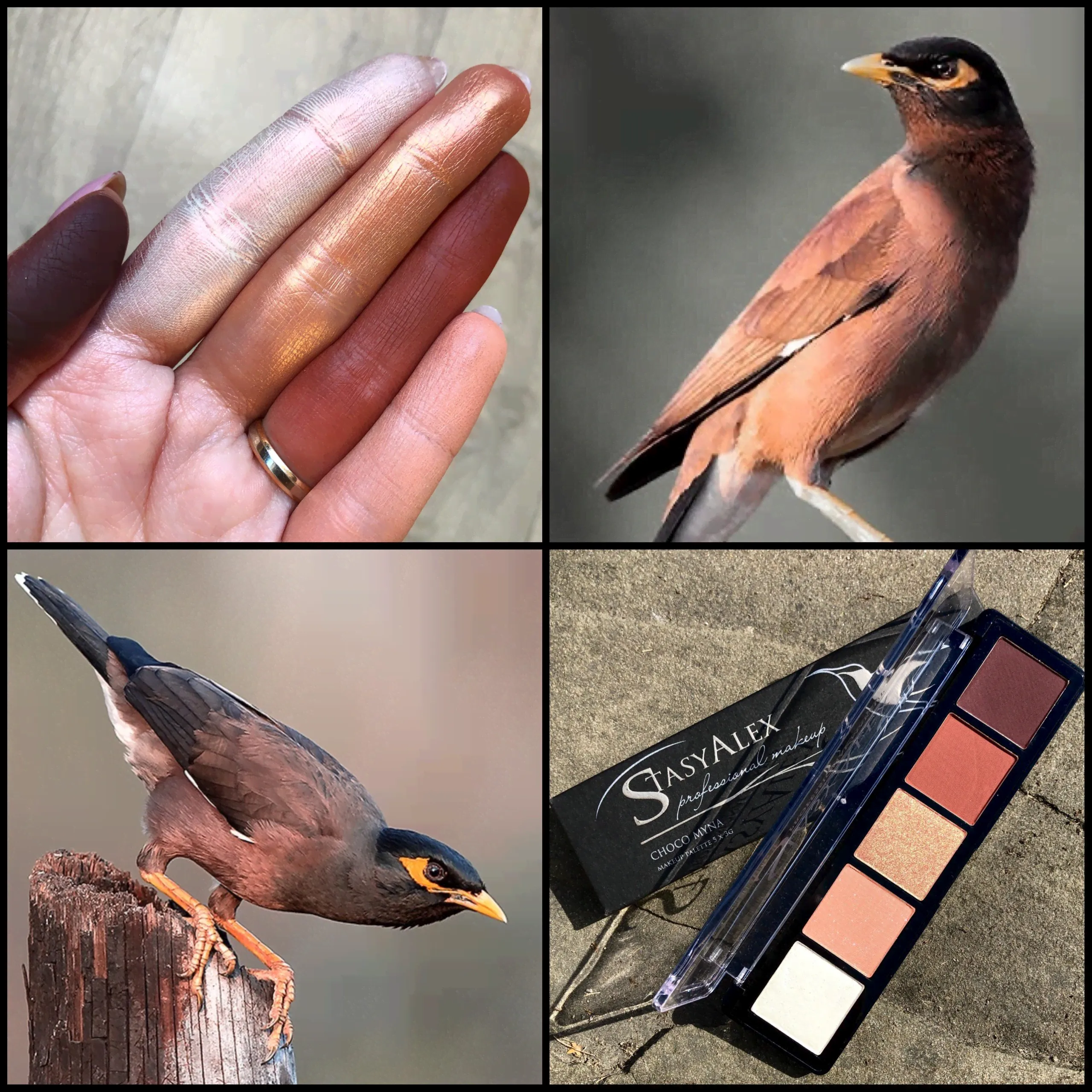 EYESHADOWS PALETTE E04 Choco myna-0