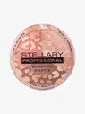 STELLARY SCULPTING PALETTE 3 IN 1