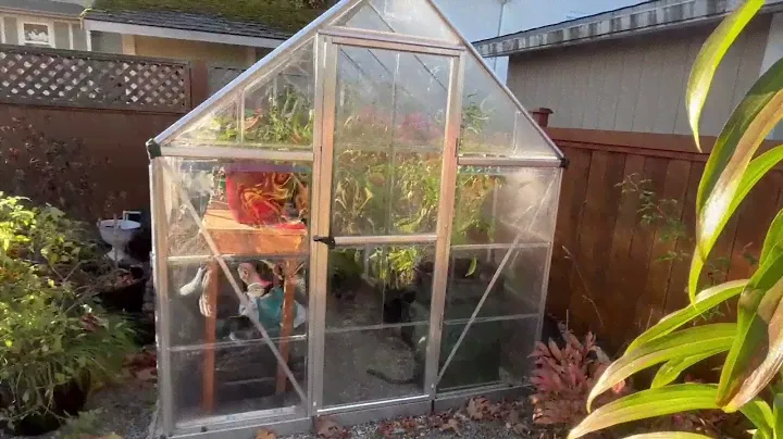 Palram Canopia Greenhouse Kit 6' x 8' Hobby Walk In Polycarbonate Review