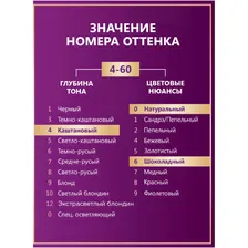 Крем-краска Palette для волос стойкая 4-60, 110мл