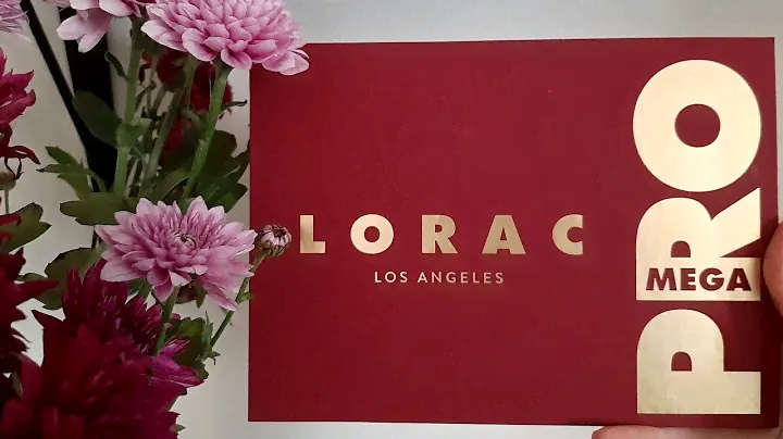 Обзор палетки LORAC MEGA PRO PALETTE| свотчи + 4 макияжа