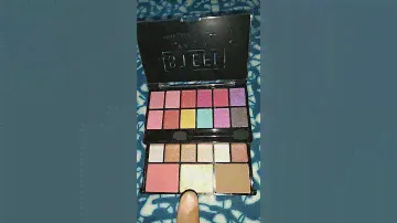 Affordable Eyeshadow, Blush, contour, Highlighter.. (Steel Paris) Makeup Palette.