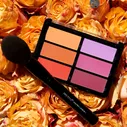Палетка румян Orange/Violet Blush Palette