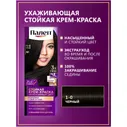 Крем-краска Palette для волос стойкая 1-0, 110мл