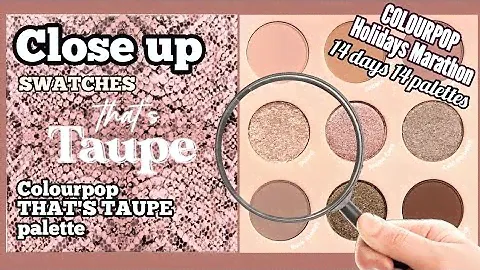 THAT'S TAUPE palette SWATCHES | COLOURPOP | Close Up
