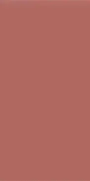 Seventies Palette Pepper 30x60-0