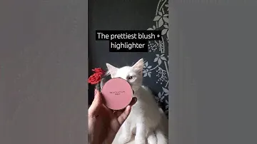 Revolution pro highlighter + blush palette  #makeup #youtubeshorts