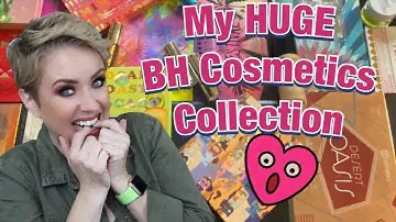 Моя ОГРОМНАЯ коллекция BH COSMETICS! | Тайник красоты Стефф