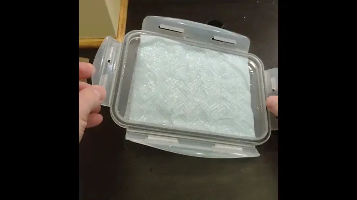 Homemade wet palette in under 60 seconds.