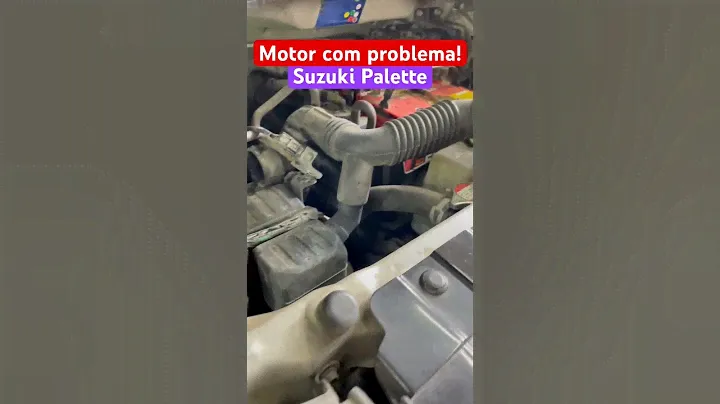 Problema identificado no Suzuki Palette!