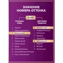 Крем-краска Palette для волос стойкая 4-60, 110мл