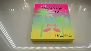 Violet Voss Flamingo Eyeshadow Palette! Live Swatches Using Sonia G Builder One & Worker One!