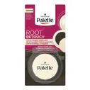 Пудра для волос Palette Root Retouch каштан 3 г