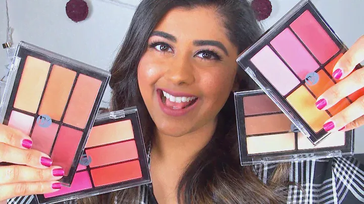 VISEART BLUSH PALETTES ♥ Full Review & Swatches!