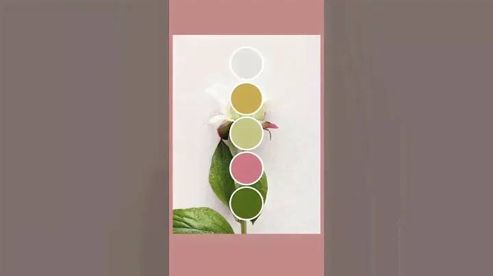 Nature-Inspired Color Palettes for your Home #interiordesign #interiordesignideas #interiordesigner