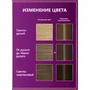 Крем-краска Palette для волос стойкая 6-0, 110мл