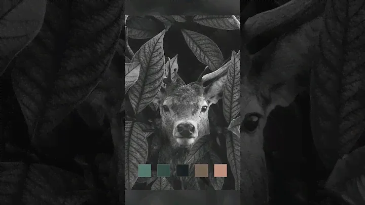 Color Palette #1  #colors #edit #nature #colorpalettes #colour