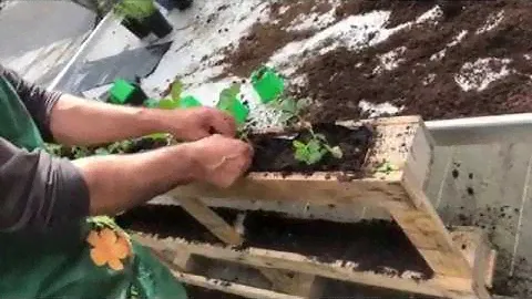 7 au jardin : la culture dans une palette