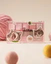 CLIO Pro Eye Palette: Koshort in Seoul Edition #Lazy Soft Paw